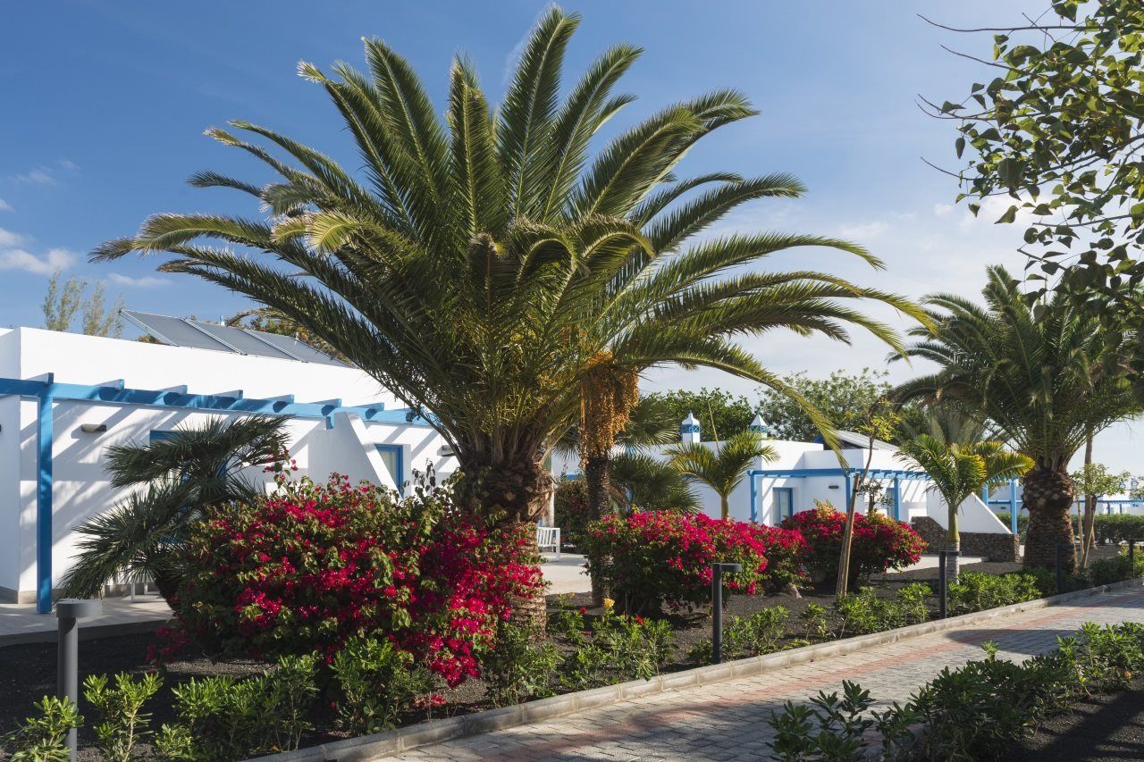 Elba Lanzarote Royal Village Resort Playa Blanca  Exterior foto